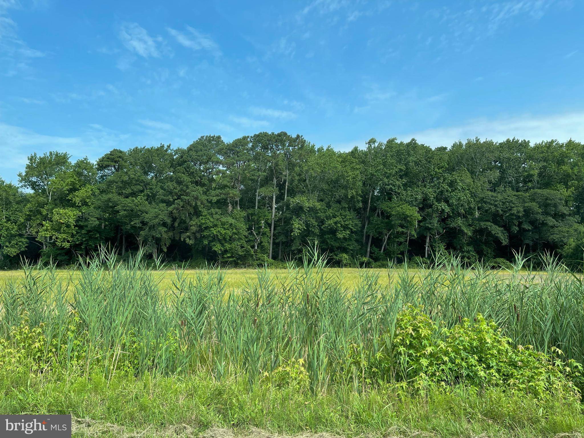 LOT 5 CAMPBELLTOWN RD, Bishopville, MD 21813