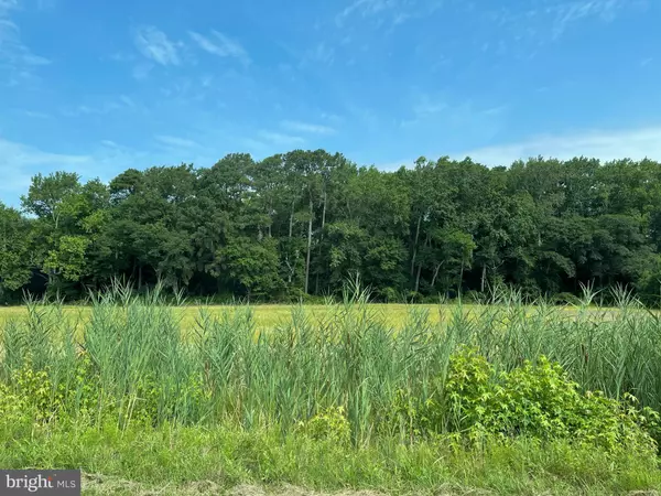 LOT 5 CAMPBELLTOWN RD, Bishopville, MD 21813