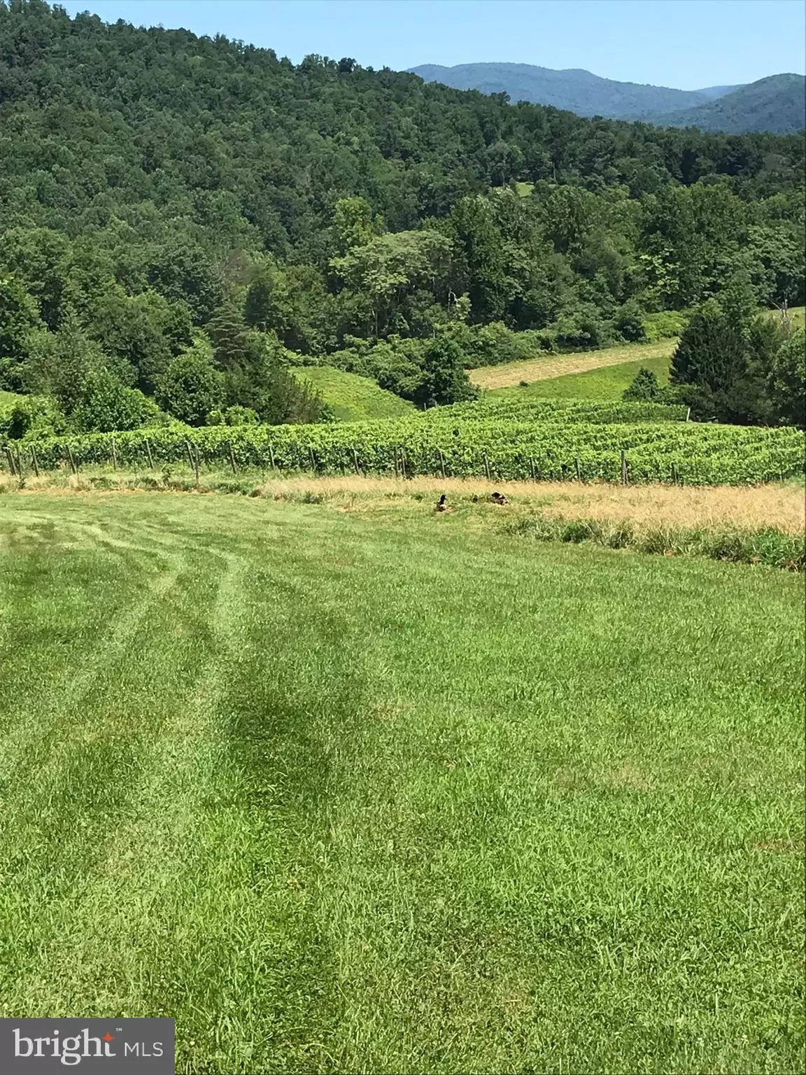 Madison, VA 22727,2188 WHIPPOORWILL RD