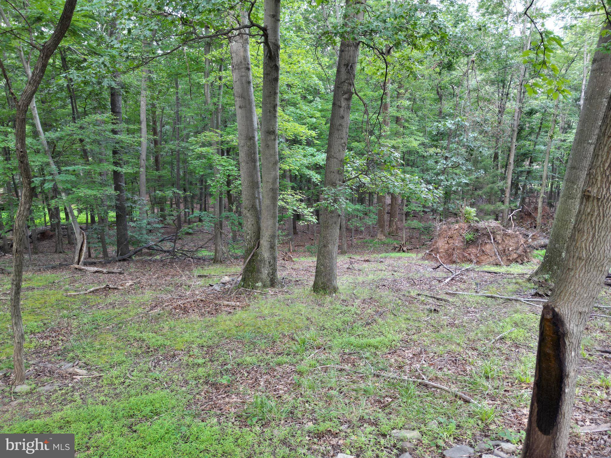 Hedgesville, WV 25427,494 CAYUGA TRL