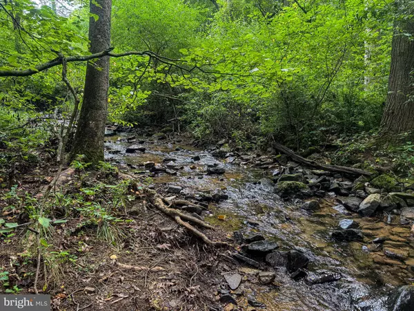 New Creek, WV 26743,LAUREL DALE RD