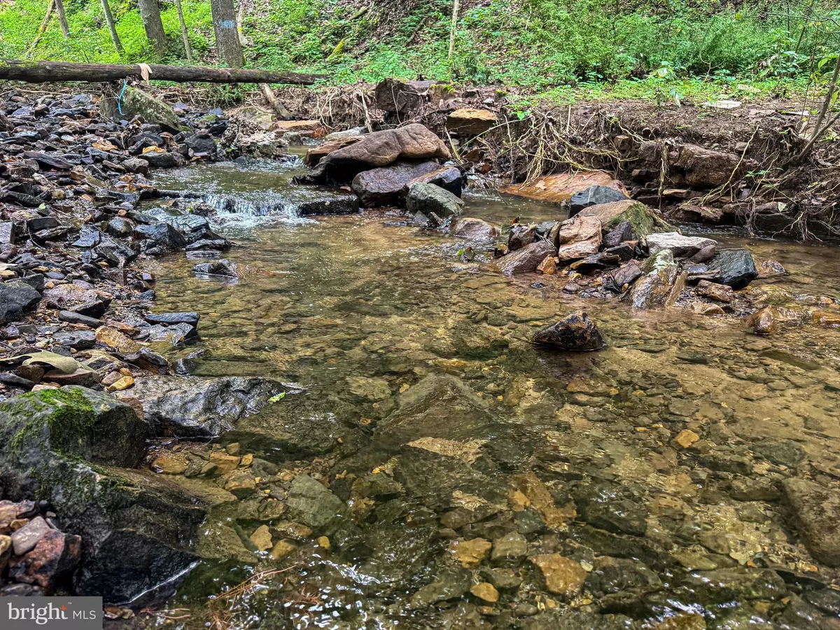 New Creek, WV 26743,LAUREL DALE RD