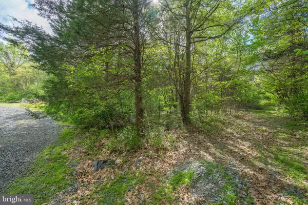 Remington, VA 22734,PINEY RIDGE ROAD