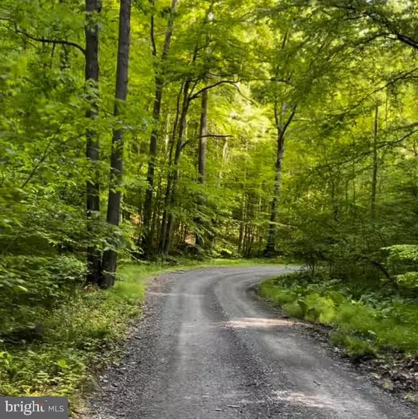 3-A HARDSCRABBLE RD, Linden, VA 22642