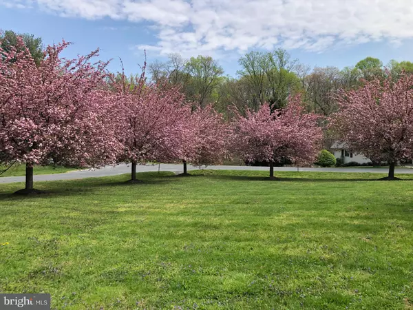Ashton, MD 20861,17724 TREE LAWN DR