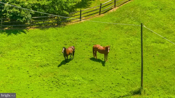 Warrenton, VA 20186,9467 OLD WATERLOO RD