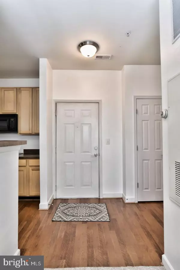 Brambleton, VA 20148,22687 BLUE ELDER TER #104