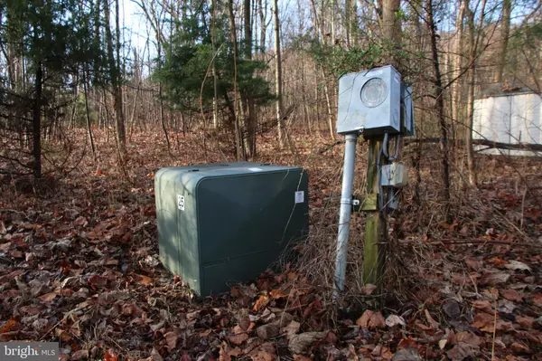 Bentonville, VA 22610,BUCK MOUNTAIN RD