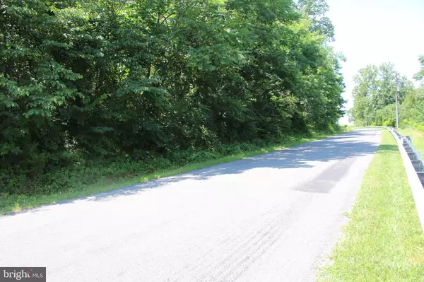 Bentonville, VA 22610,BUCK MOUNTAIN RD