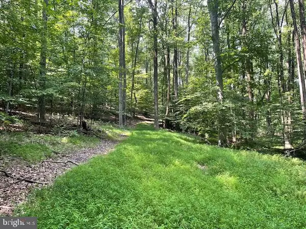 Leesburg, VA 20176,13673 TAYLORSTOWN RD
