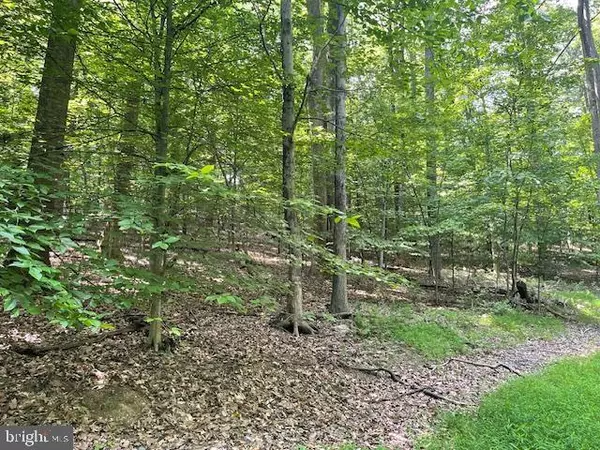 Leesburg, VA 20176,13673 TAYLORSTOWN RD