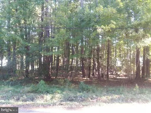 Piney Point, MD 20674,SAINT GEORGES PARK RD