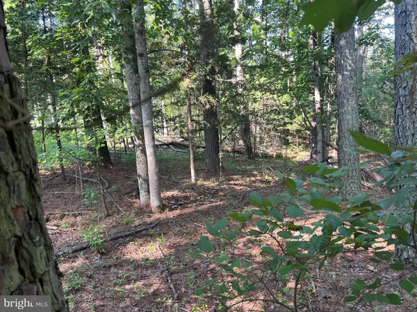 Mineral, VA 23117,LAKE FOREST DRIVE