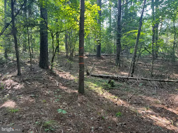 Mineral, VA 23117,LAKE FOREST DRIVE