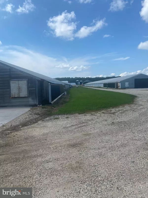 Westover, MD 21871,30560 CHARLES BARNES RD