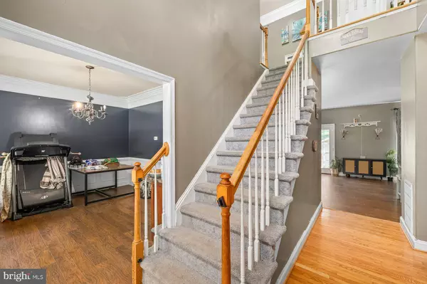 Spotsylvania, VA 22551,6325 GRACE HL