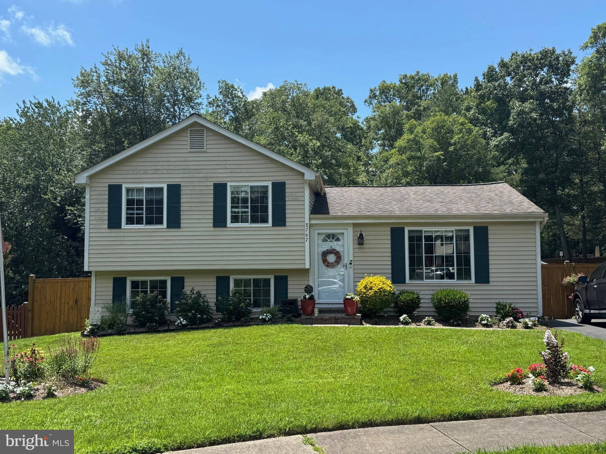 8767 COLD PLAIN CT, Springfield, VA 22153