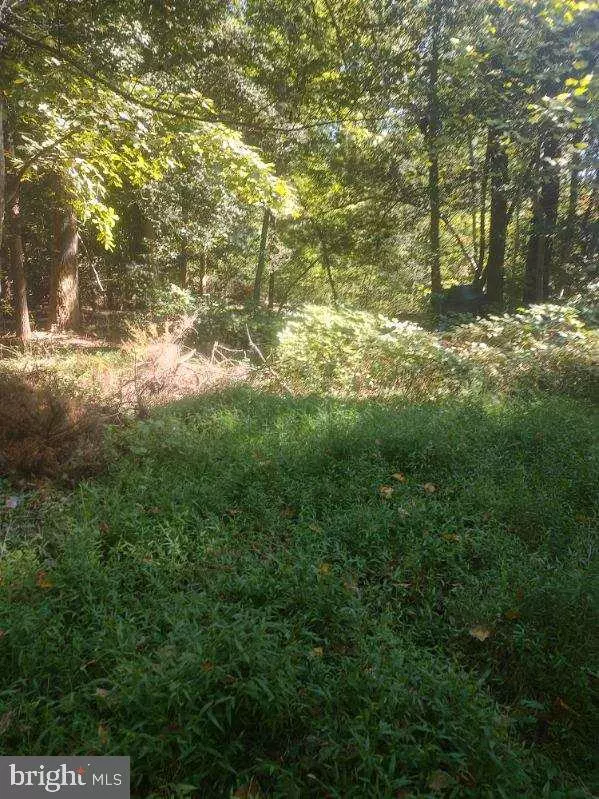 Lorton, VA 22079,5940 BARBERRY TRL