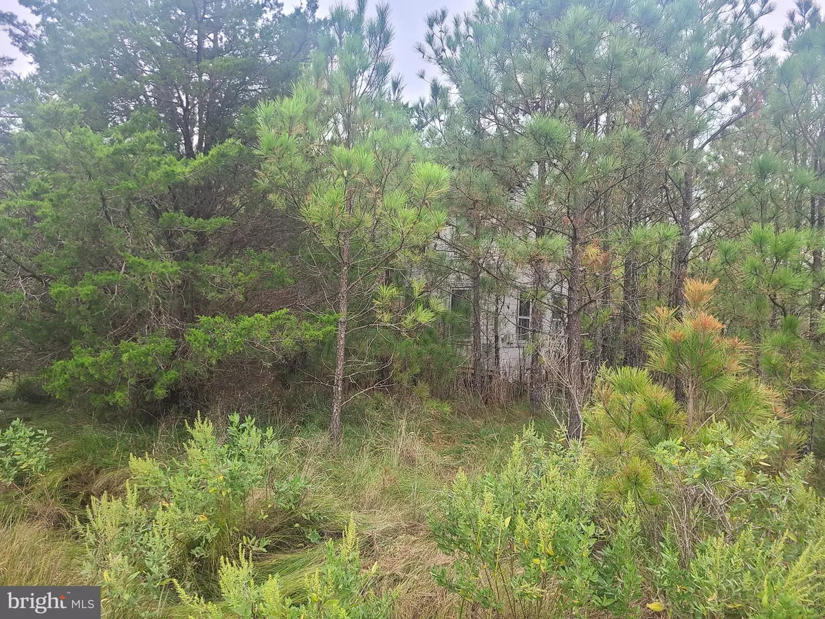 Bishops Head, MD 21672,1736 CROCHERON RD