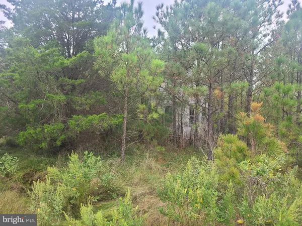 1736 CROCHERON RD, Bishops Head, MD 21672