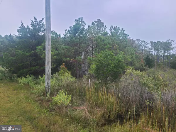 Bishops Head, MD 21672,1736 CROCHERON RD