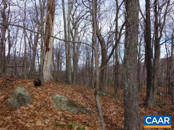 Wintergreen, VA 22958,91 SHAMOKIN SPRINGS TRL