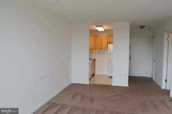 Alexandria, VA 22302,1225 MARTHA CUSTIS DR #1406