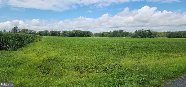 Withams, VA 23488,BULLBEGGER RD