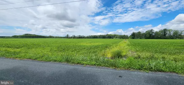 Withams, VA 23488,BULLBEGGER RD