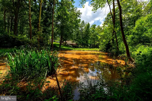 Luray, VA 22835,15 MONT VIEW LN