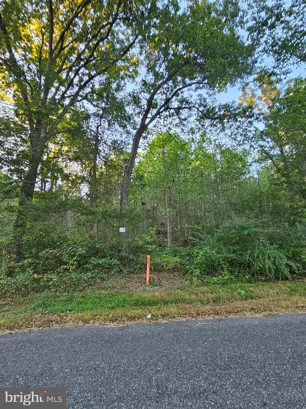 Hague, VA 22469,LOT 52 LOWE DR