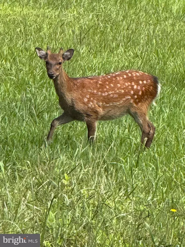 Wingate, MD 21675,FARM CREEK