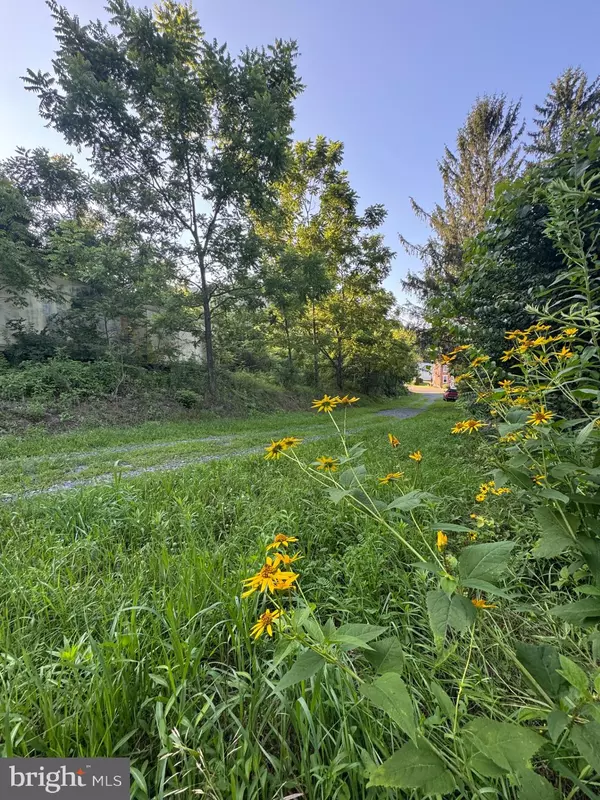 Herndon, PA 17830,1666 URBAN RD