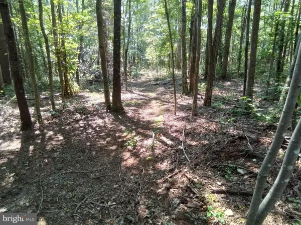 Edinburg, VA 22824,THREE MILE BANK LANE