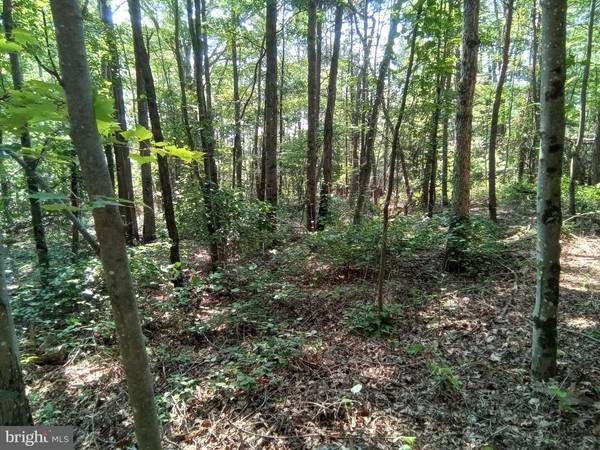 Edinburg, VA 22824,THREE MILE BANK LANE