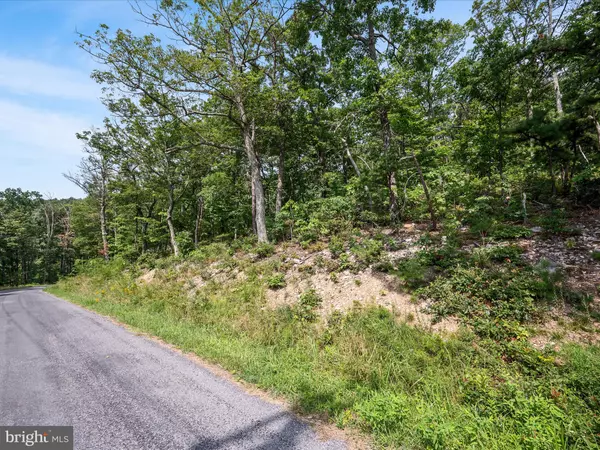 Winchester, VA 22602,LOT 43 TOMAHAWK TRL