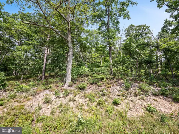 Winchester, VA 22602,LOT 43 TOMAHAWK TRL