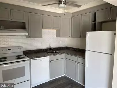 1026 ADAMS AVE #3B, Salisbury, MD 21804