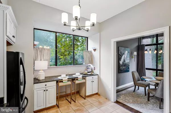 Reston, VA 20191,11556 ROLLING GREEN CT #15/100A