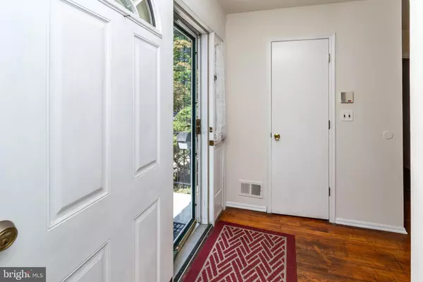 New Brunswick, NJ 08901,40 PHELPS AVE