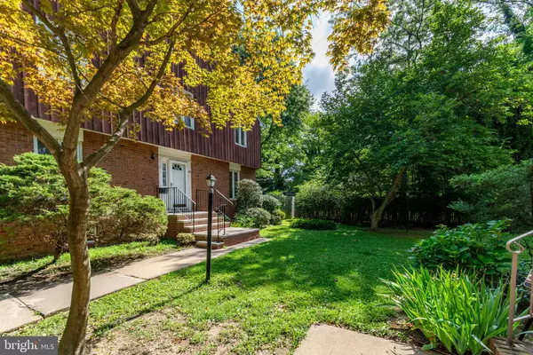 New Brunswick, NJ 08901,40 PHELPS AVE