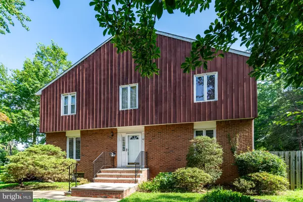 New Brunswick, NJ 08901,40 PHELPS AVE