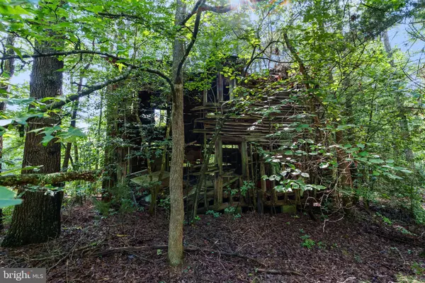 Bowling Green, VA 22427,MATTAPONI TRAIL