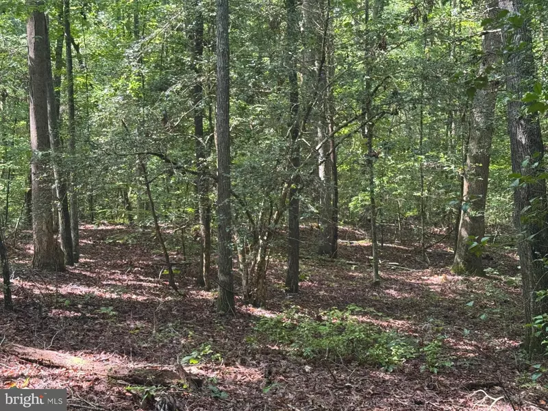 34 PURKINS CT, Tappahannock, VA 22560