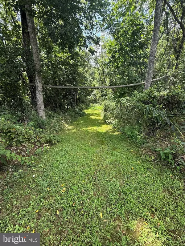 Big Pool, MD 21711,GALILEE RD
