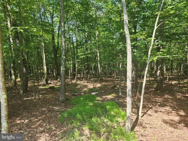 Oakland, MD 21550,LOT 53 MOUNTAINVIEW DR