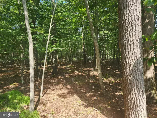 Oakland, MD 21550,LOT 53 MOUNTAINVIEW DR