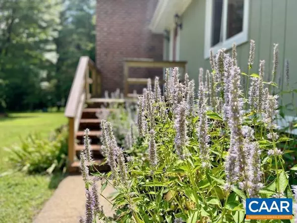 Schuyler, VA 22969,7489 EASTWOOD LN