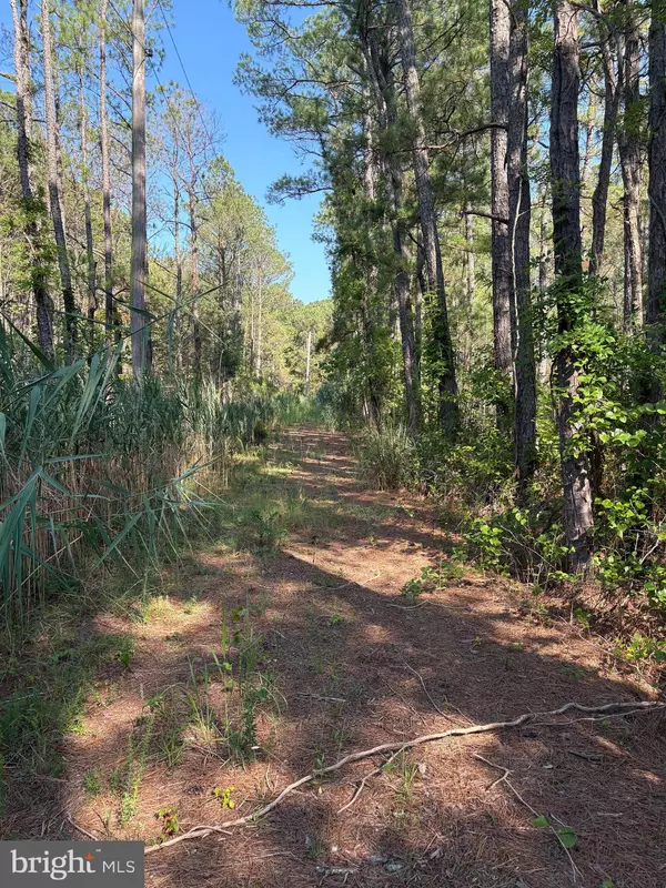 Crisfield, MD 21817,0 BOONE RD #PARCEL 1370