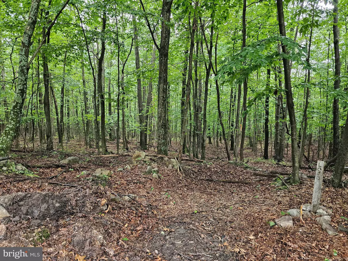 Hedgesville, WV 25427,SADDLE RIDGE LN #LOT 29